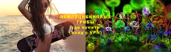 дурь Алзамай