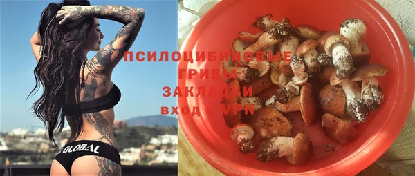 гидропоника Алексеевка