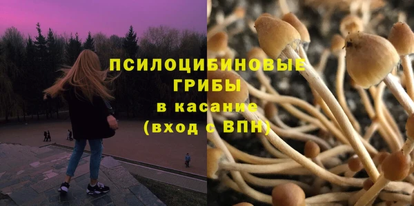 дурь Алзамай